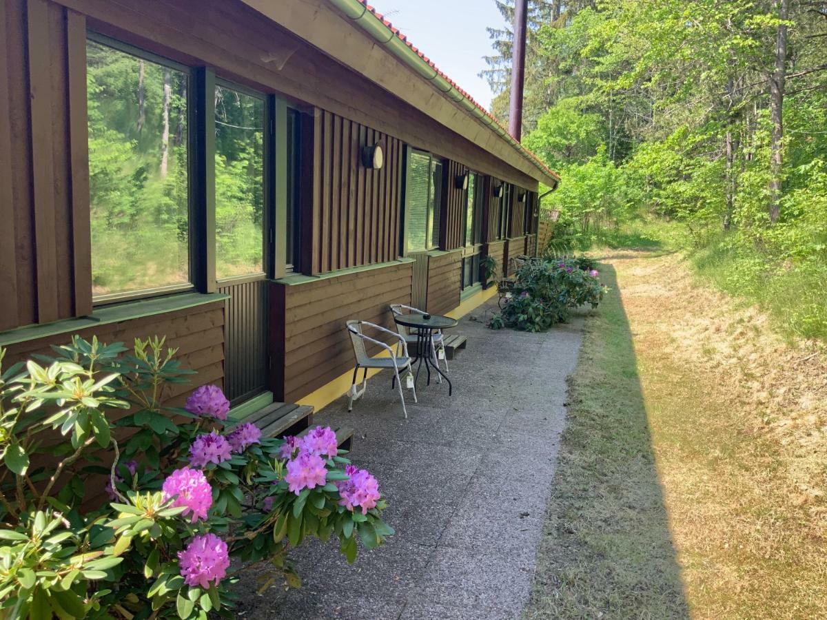 Skogsvikens Hotell Kolmården Extérieur photo